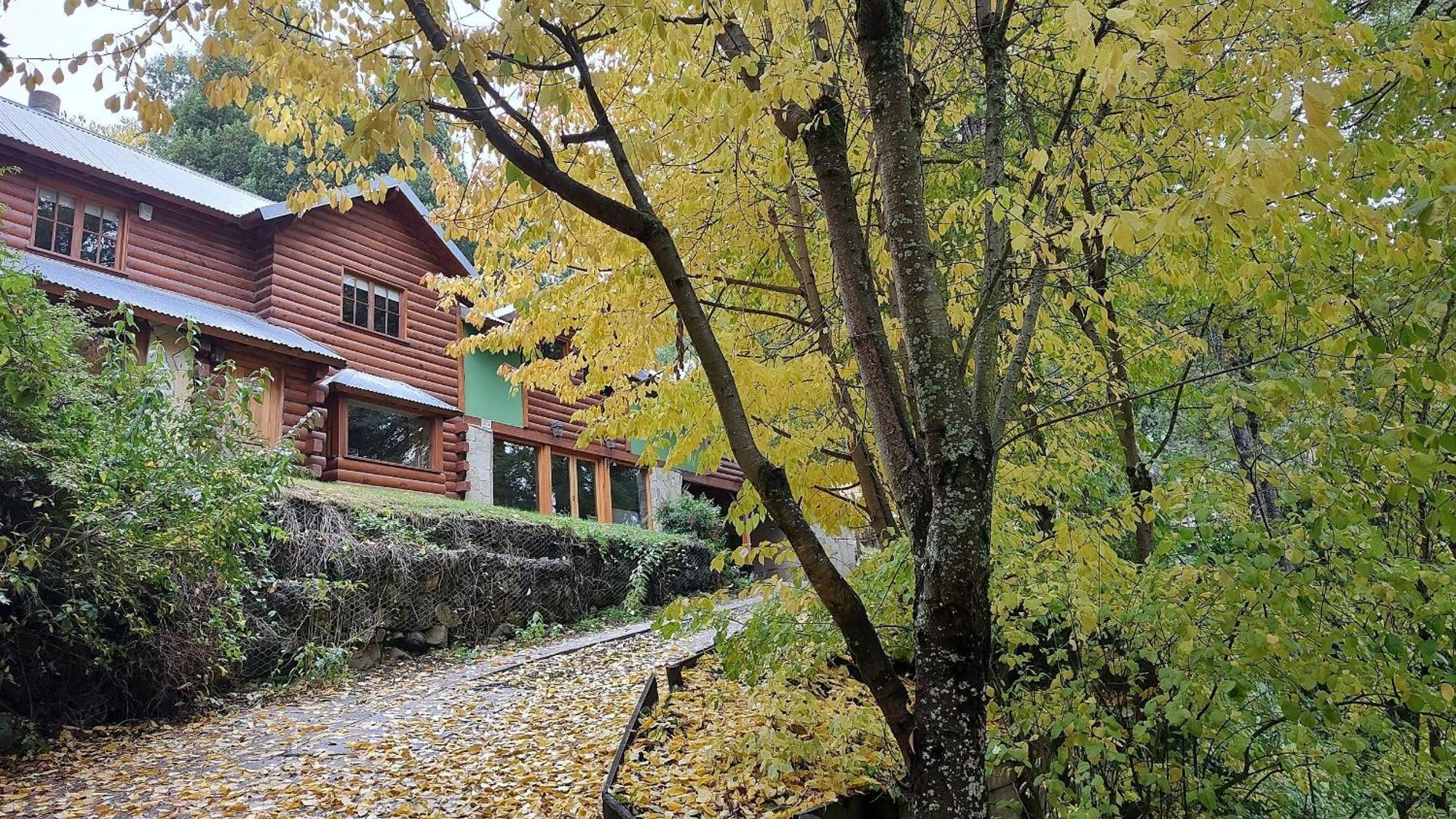 Cabana Rodeada De Bosque Nativo Para 12 C Parrilla Villa San Martin de los Andes Exterior photo